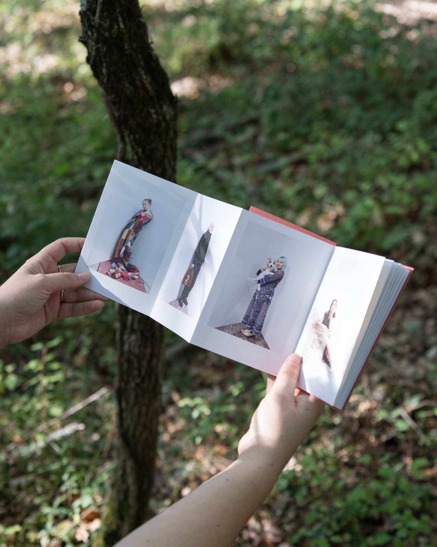 HEIMA di Irene Cappelli