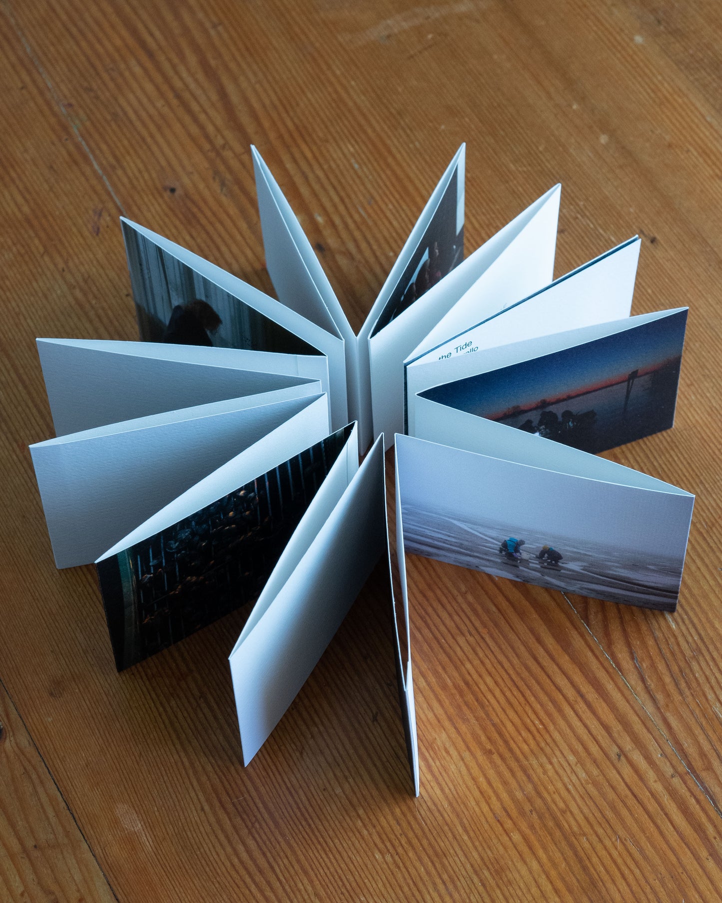LIKE THE TIDE di Chiara Negrello