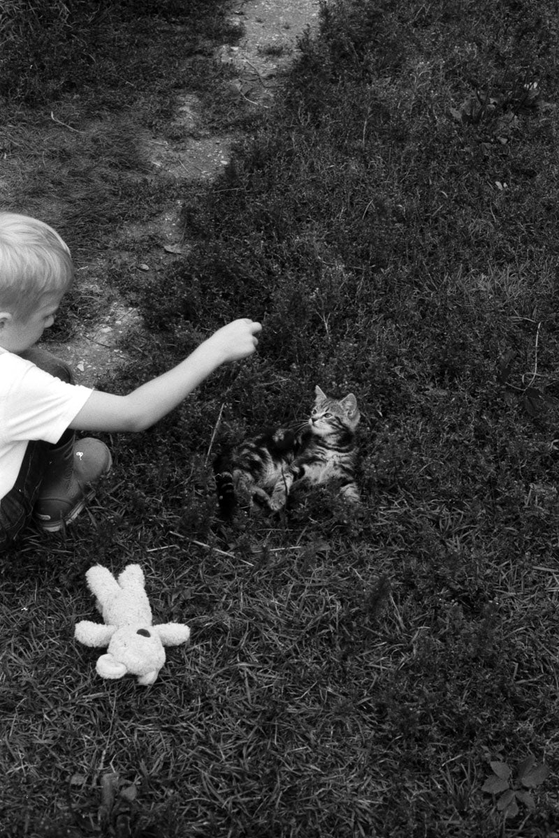 THERE, THERE di Leonardo Taddei (seconda ristampa)