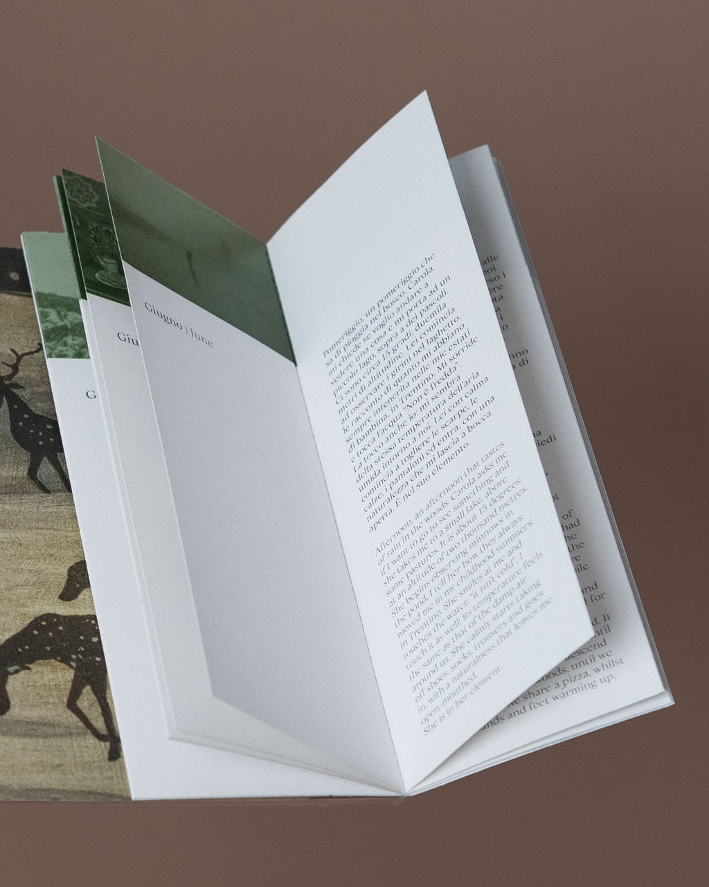 ARTEMIS di Erika Pezzoli