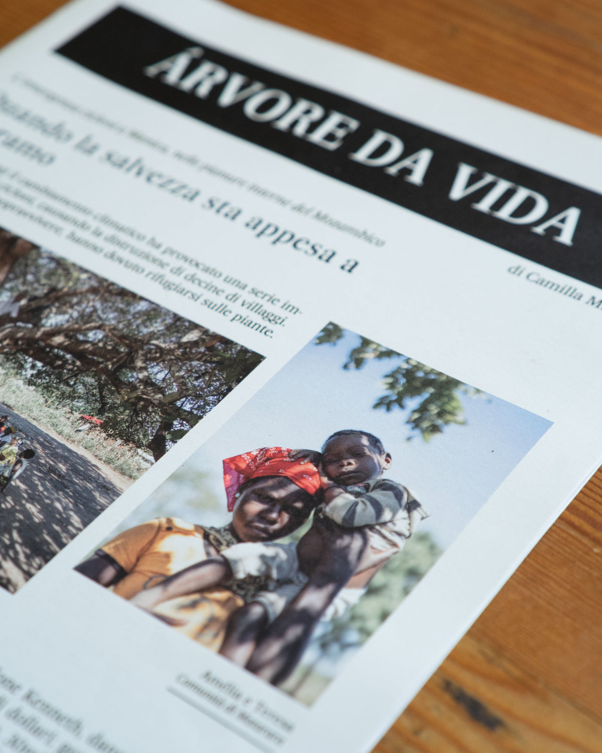 ÁRVORE DA VIDA  di Camilla Miliani