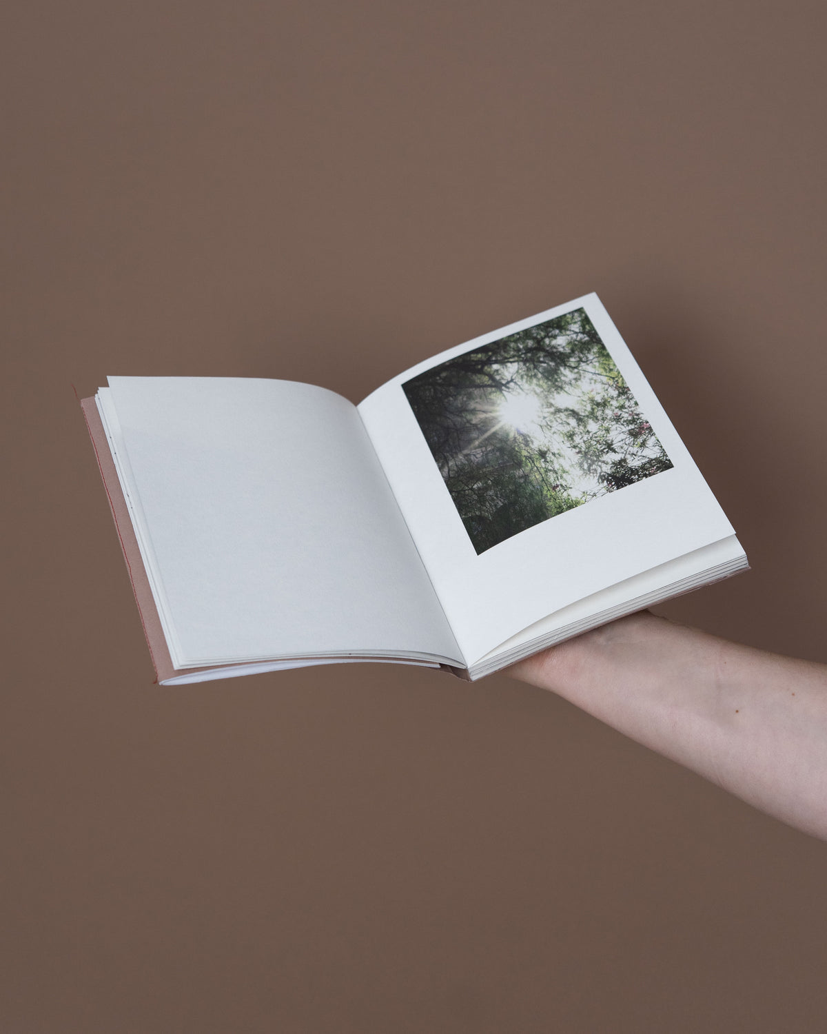 RARICA di Lara Conama Mumenthaler